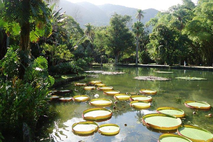 ジープツアー-コルコバード、シュガーローフ、植物園、ティフカの森