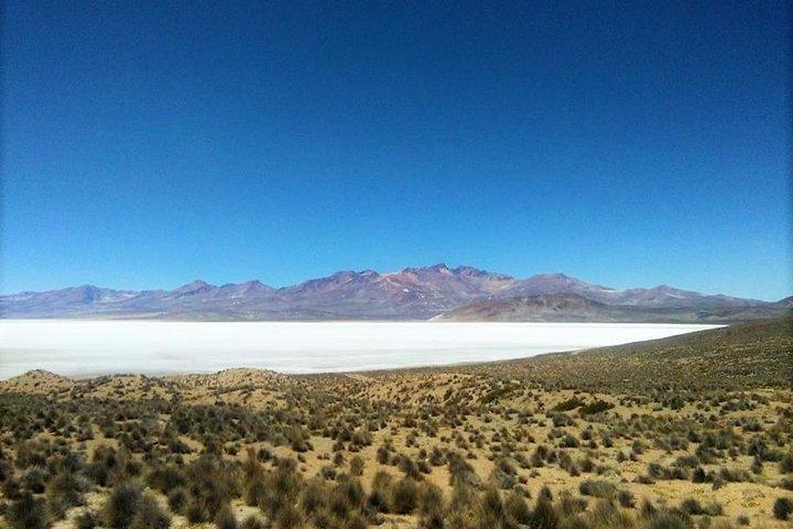 Salinas Salt Lagoon Private tour - Day Trip from Arequipa