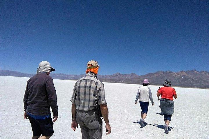 Salinas Salt Lagoon Private tour - Day Trip from Arequipa