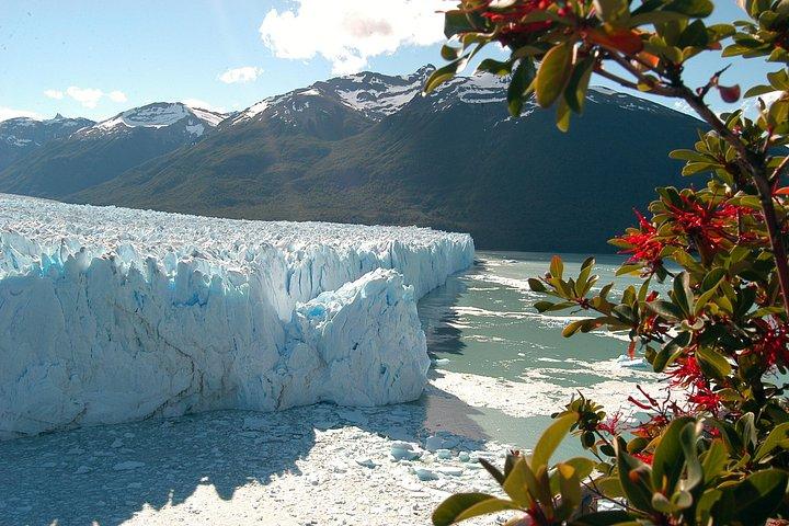 Perito Moreno gletsjertur med valgfri navigation