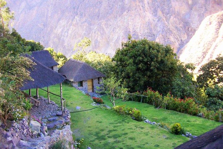 3-daagse Colca Canyon Trekking vanuit Arequipa