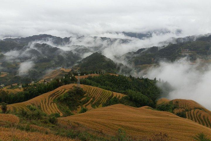 Guilin:Excursão de um dia em Longji Rice Terraces e Yangshuo