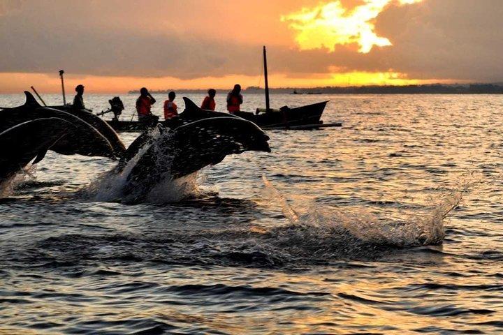 Sunrise Dolphin Wacthing e Menjangan Island Snorkeling Day Trip