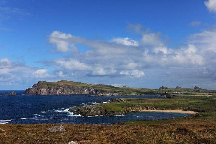 Dagtour naar het Dingle Peninsula vanuit Limerick : De Wild Atlantic Way
