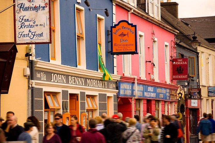 Excursion d'une journée sur la péninsule de Dingle au départ de Cork : y compris la voie altanique sauvage