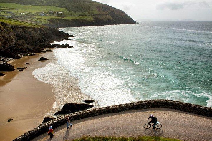 Dagtour naar het Dingle Peninsula vanuit Limerick : De Wild Atlantic Way