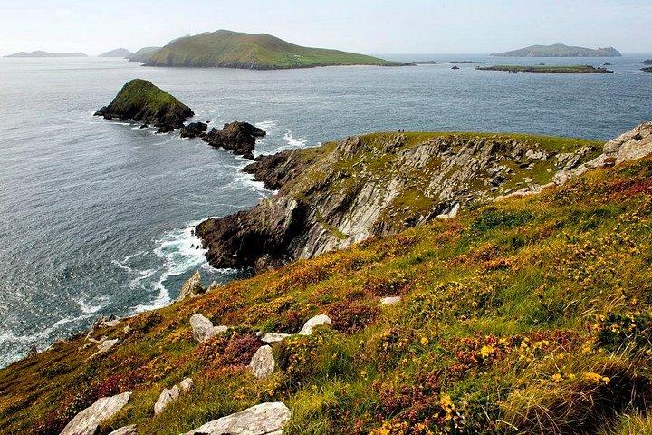 Dingle Peninsula Tour von Killarney : Inklusive Wild Atlantic Way
