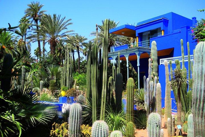 Explore Marrakech and agafay desert from Casablanca