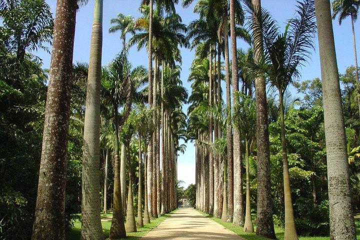 Explore o Rio criando seu próprio itinerário!