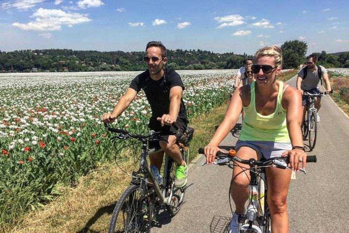 Fulddags E-cykeltur til Karlstejn Slot (små grupper)