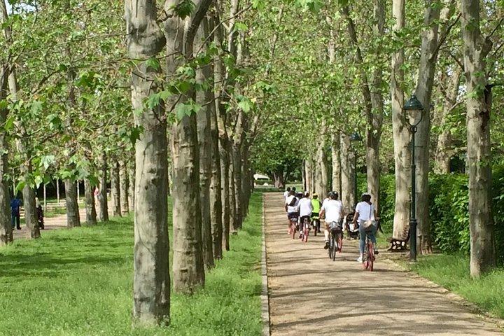 プラハ自転車ツアー - 素晴らしい景色、城、街、公園