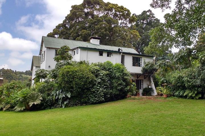 Nairobi dagstur till Tea Farm