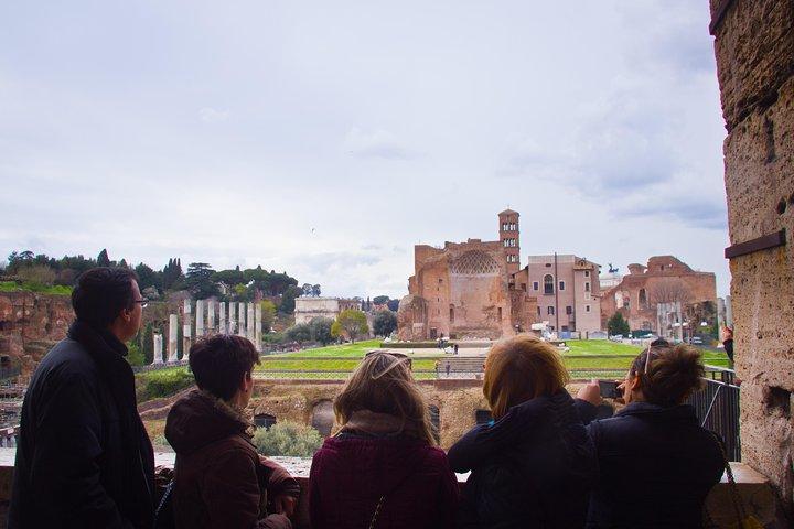 Colosseum restricted areas and Undergrounds Group Tour