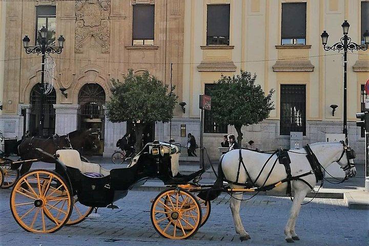 Paardenkoetstocht door Sevilla
