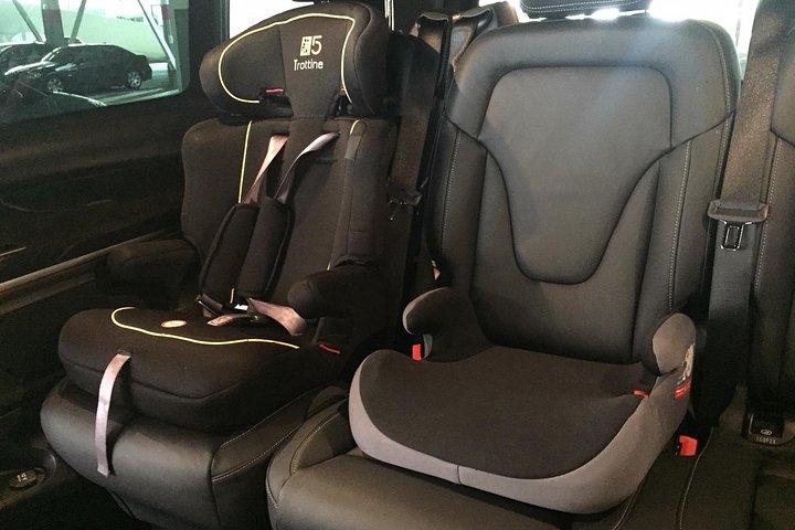 CDG Paris airport transfer in private van