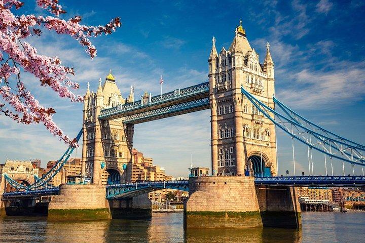 ロンドン終日であなたの処分でプライベート運転手付き高級レンジローバー