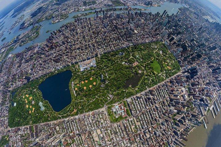 セントラル パークのニューヨーク市馬車乗車 (50 分、大人 4 名まで)