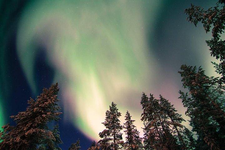 Herbstpicknick bei Aurora Borealis in Rovaniemi