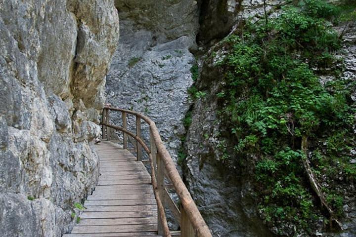 From Bled: Discovery Trail (Private)