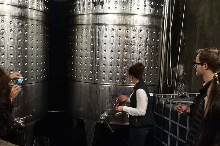 Private Wine & Cava Tasting Tour In Penedes with hotel pick up