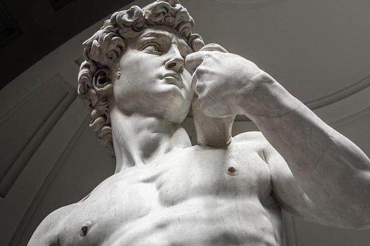 Visite guidée de la galerie privée de l'Académie à Florence