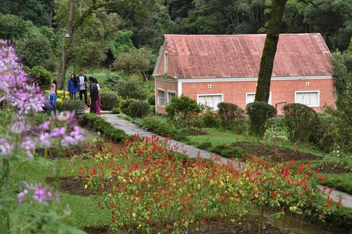 ゴダヴァリ植物園のプライベートツアー(ランチ付き)