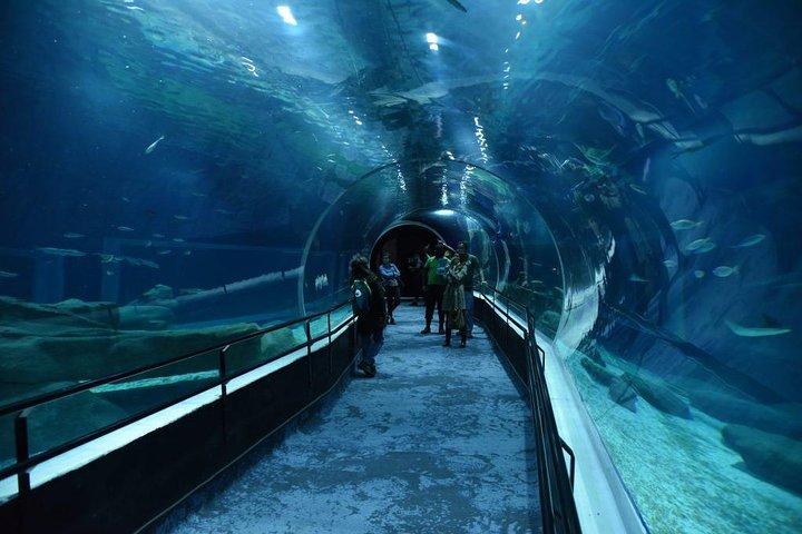 Aquario avec le boulevard olympique de Rio de Janeiro