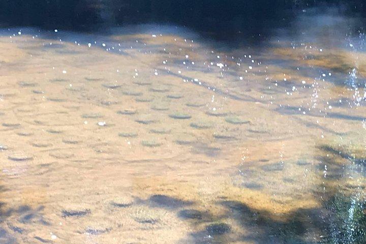 プライベートクーレン1000リンガシヴァ上り坂トレッキングツアー