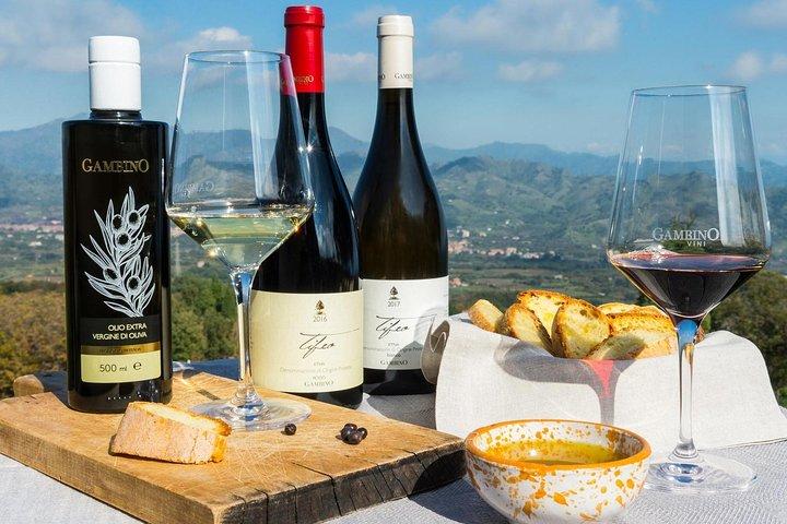 食事とワインの試飲付き、エトナ山の 3 つのワイナリーを巡る 6 時間のプライベート ツアー