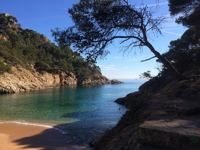 Costa Brava Randonnée & Tossa de Mar : Excursion en petit groupe au départ de Barcelone