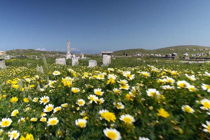 Halv dags Delos Tour från Mykonos
