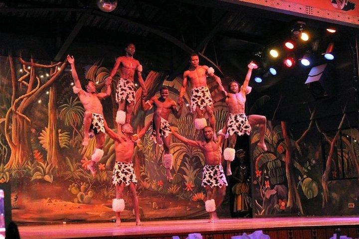 Safari Park Dinner con Safari Cats Dance Show