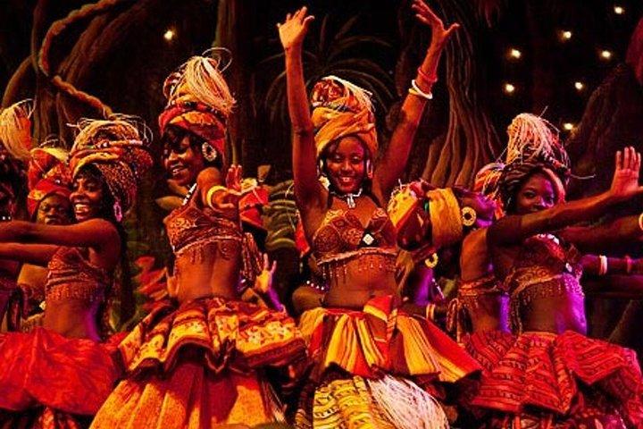 Safari Park Dinner con Safari Cats Dance Show