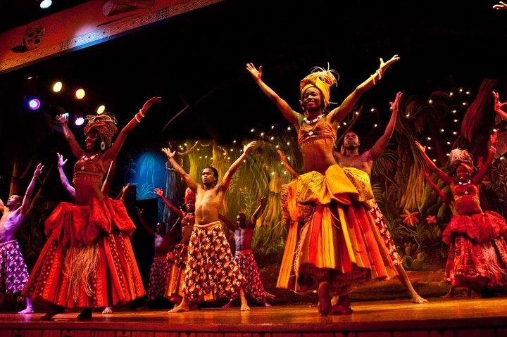 Safari Park Dinner con Safari Cats Dance Show