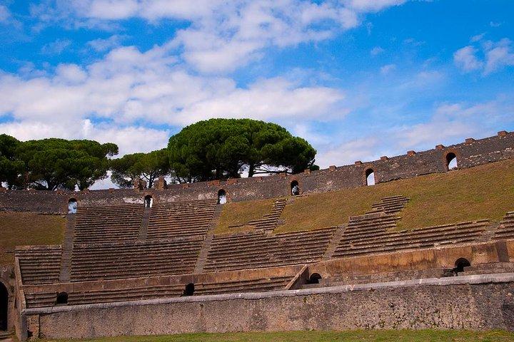 Excursion d'une journée aux ruines de Pompéi depuis Rome