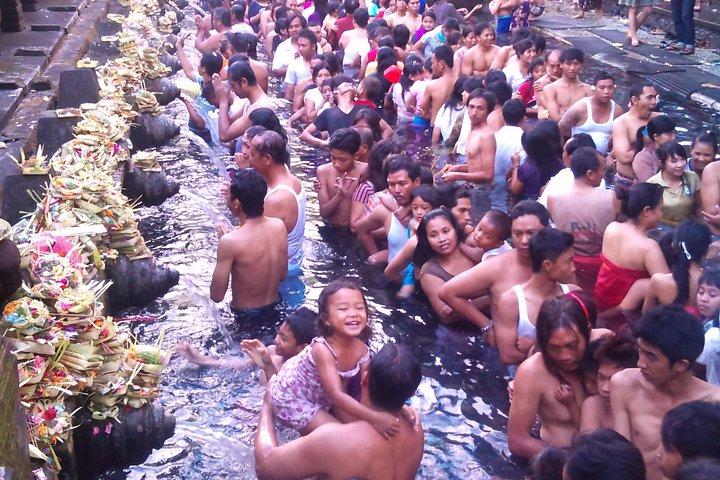 Holy Spring Water Purification & Ubud Nature Tour