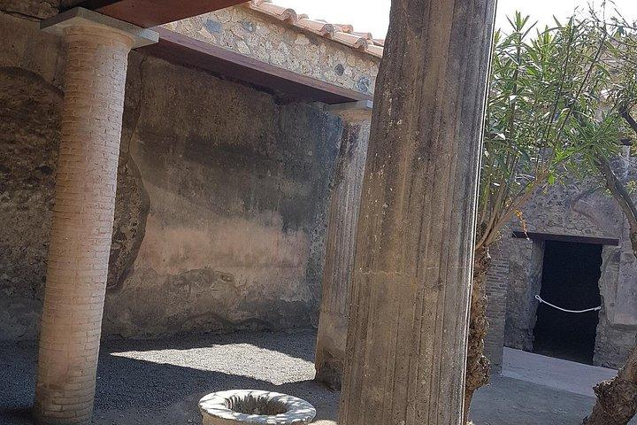 ローマからポンペイとナポリ：ランチ付き小グループ日帰りツアー