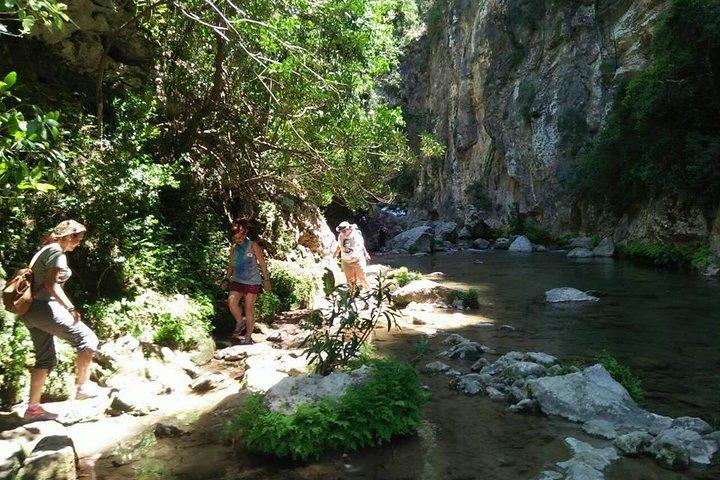 De Chefchaouen: excursion d'une journée au pont des dieux et aux cascades