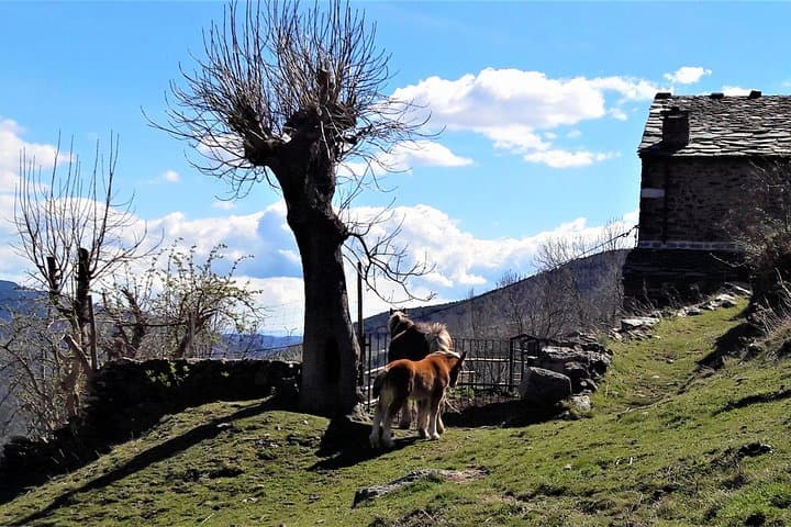 Pyrenees Private Tour from Barcelona with Easy Hike & Cogwheel Train