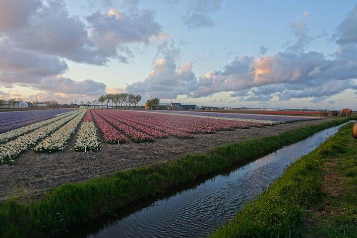車またはミニバンで繁栄する花畑の4時間のプライベートツアー