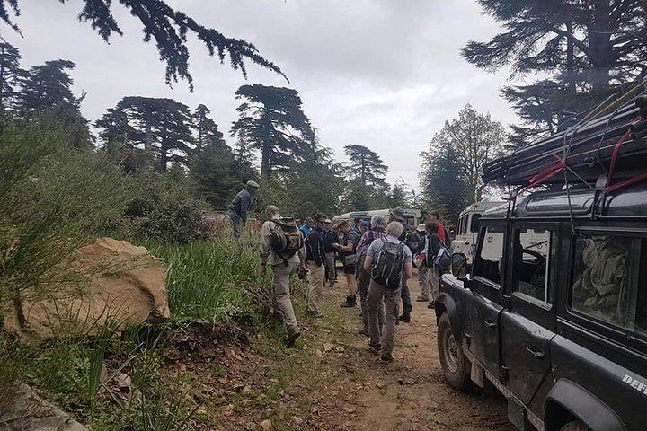De Chefchaouen: excursion d'une journée au pont des dieux et aux cascades