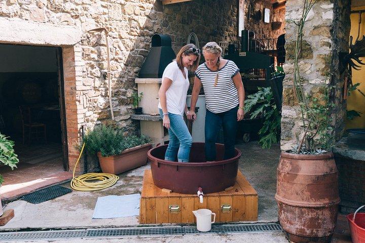 Privé Druiven stampen in Chianti vanuit Florence