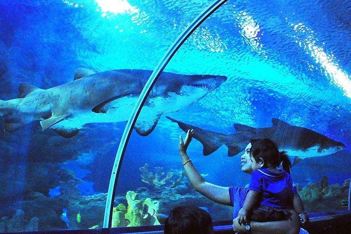 Eintritt ins Aquaria KLCC mit den berühmten Sehenswürdigkeiten der Stadt Kuala Lumpur