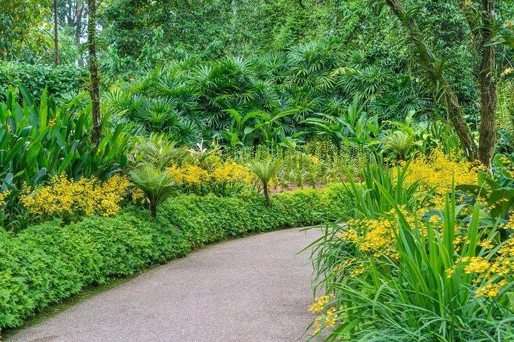 Singapore: National Orchid Garden Entrébiljett