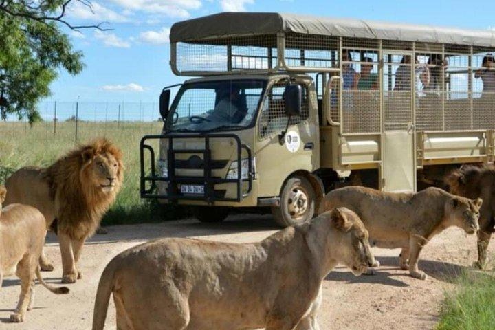 Cradle of Human Kind & Lion & Rhino Park Tour Volledige dagtour privé