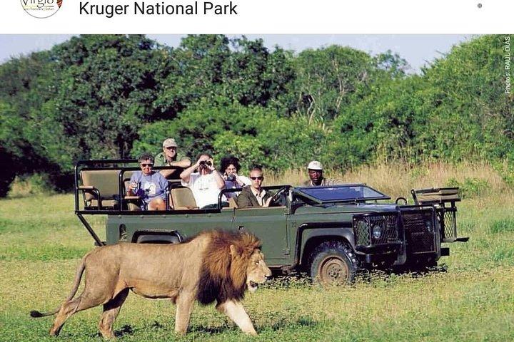 Pacchetto di 5 giorni a Johannesburg History Tour e Kruger National Park Safari