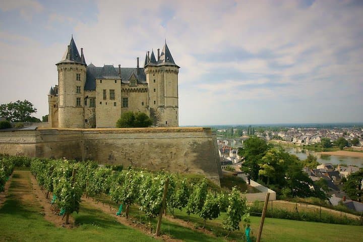 Loire VIP Wine Day from Paris: Castle, 6 Tastings& Michelin Lunch