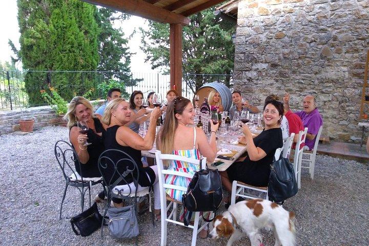 Vanuit Florence: Klassieke Chiantidorpen en wijnwegen per minivan
