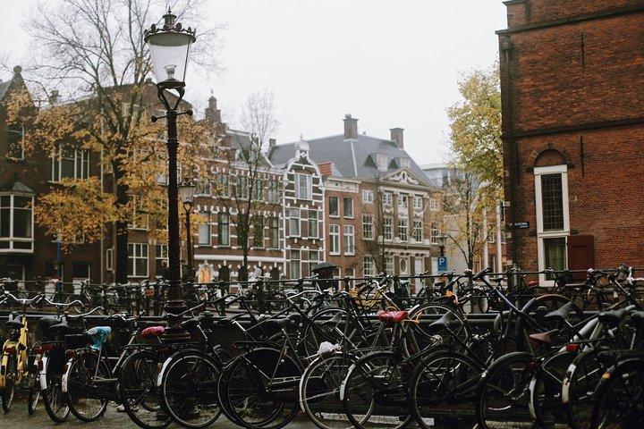 Amsterdam City Center Visite guidée à pied Semi-privé 12ppl Max