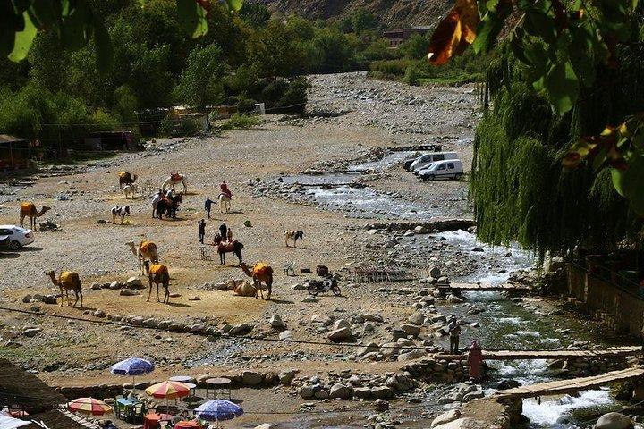 Atlas Mountains Dagstur med Camel Ride